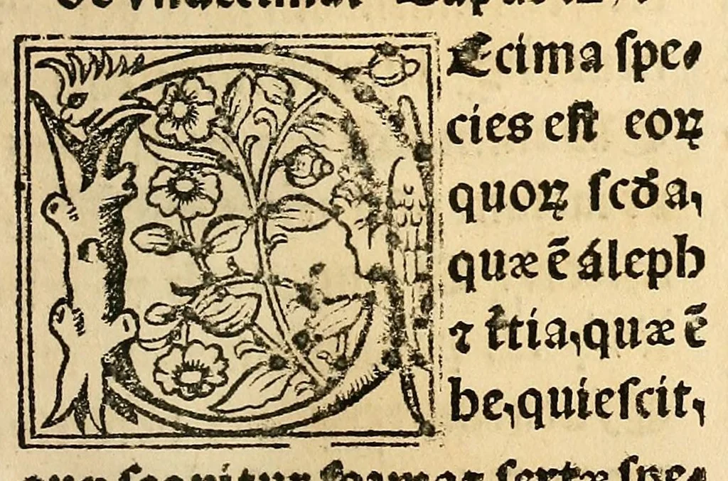 An illustration from Habes hoc in libro ca[n]dide lector Hebraicas institutiones. : in quib[us] quicquid est gra[m]matices hebraicæ facultatis edocetur ad amussim, de literis, punctis, acce[n]tibus, nomine, [et] nominum speciebus, de pronominibus, [et] eoru[mque] cu[m] nominibus, [et] verbis coniu[n]ctione, de verbo [et] verboru[m] co[n]iugationibus, [et] distinctione, in perfecta, quiescentia, defectiua, geminata, de partibus indeclinabilibus, præpositionibus, co[n]iu[n]ctio[n]ibus, aduerbijs, de regulis expone[n]di arcanas literas [et] de figuris, vt paucissima sint desidera[n]da, quas nuper ædidit reuere[n]dus sacræ theolo. do. Sanctes Pagninus .., 1526, leaf 308
