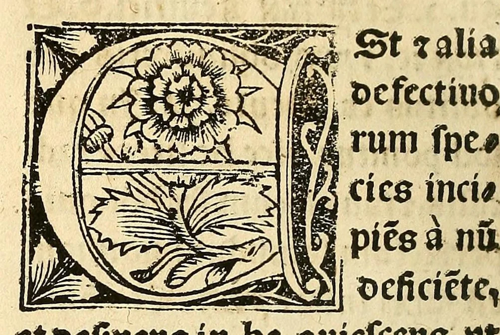 An illustration from Habes hoc in libro ca[n]dide lector Hebraicas institutiones. : in quib[us] quicquid est gra[m]matices hebraicæ facultatis edocetur ad amussim, de literis, punctis, acce[n]tibus, nomine, [et] nominum speciebus, de pronominibus, [et] eoru[mque] cu[m] nominibus, [et] verbis coniu[n]ctione, de verbo [et] verboru[m] co[n]iugationibus, [et] distinctione, in perfecta, quiescentia, defectiua, geminata, de partibus indeclinabilibus, præpositionibus, co[n]iu[n]ctio[n]ibus, aduerbijs, de regulis expone[n]di arcanas literas [et] de figuris, vt paucissima sint desidera[n]da, quas nuper ædidit reuere[n]dus sacræ theolo. do. Sanctes Pagninus .., 1526, leaf 313