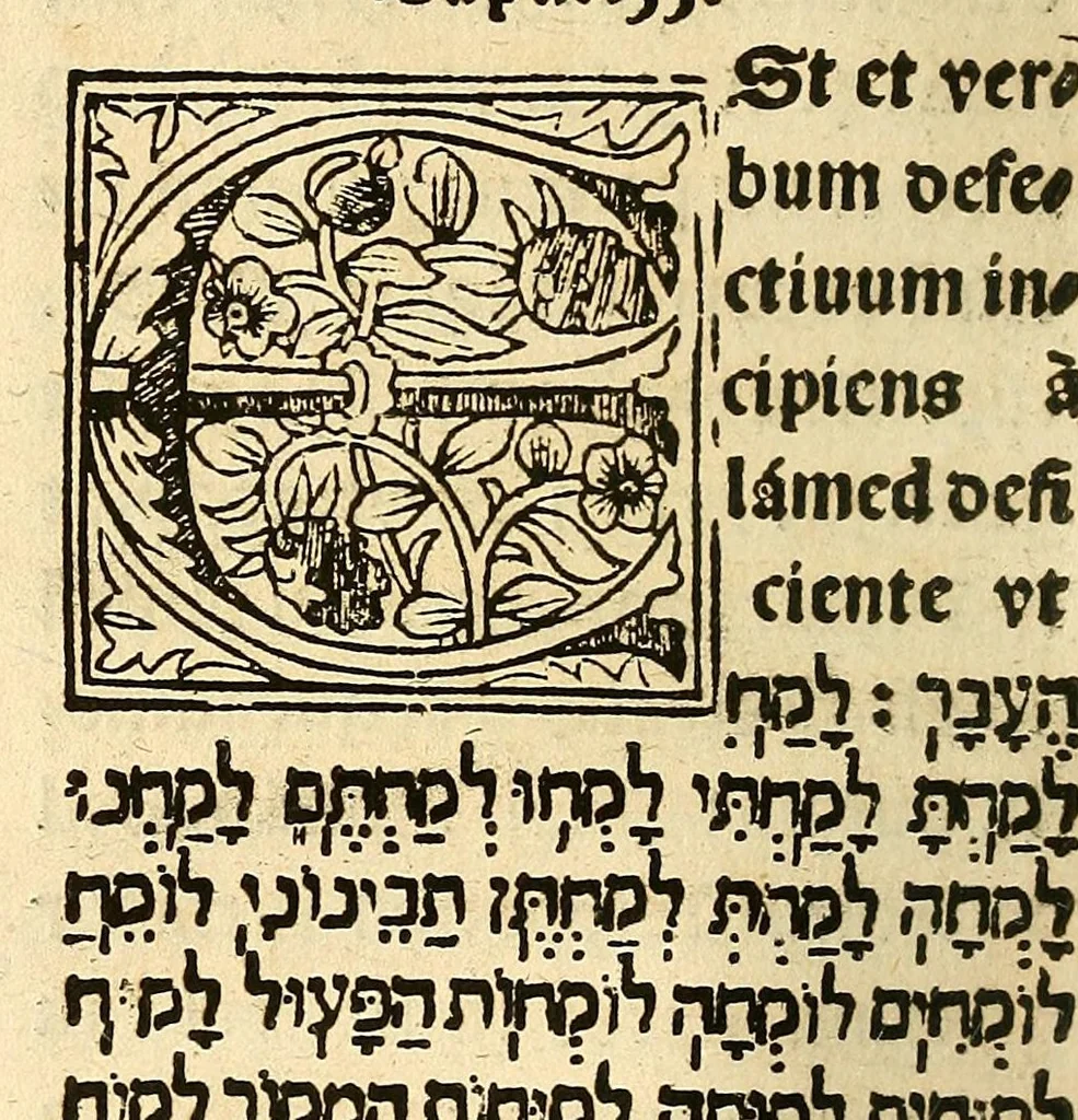 An illustration from Habes hoc in libro ca[n]dide lector Hebraicas institutiones. : in quib[us] quicquid est gra[m]matices hebraicæ facultatis edocetur ad amussim, de literis, punctis, acce[n]tibus, nomine, [et] nominum speciebus, de pronominibus, [et] eoru[mque] cu[m] nominibus, [et] verbis coniu[n]ctione, de verbo [et] verboru[m] co[n]iugationibus, [et] distinctione, in perfecta, quiescentia, defectiua, geminata, de partibus indeclinabilibus, præpositionibus, co[n]iu[n]ctio[n]ibus, aduerbijs, de regulis expone[n]di arcanas literas [et] de figuris, vt paucissima sint desidera[n]da, quas nuper ædidit reuere[n]dus sacræ theolo. do. Sanctes Pagninus .., 1526, leaf 315