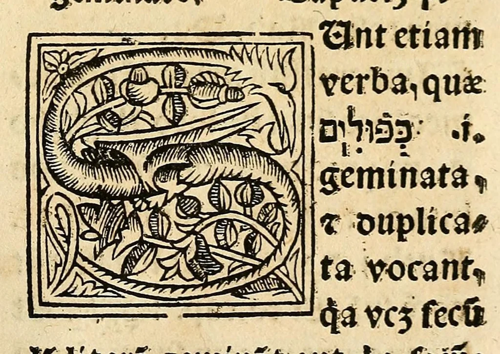 An illustration from Habes hoc in libro ca[n]dide lector Hebraicas institutiones. : in quib[us] quicquid est gra[m]matices hebraicæ facultatis edocetur ad amussim, de literis, punctis, acce[n]tibus, nomine, [et] nominum speciebus, de pronominibus, [et] eoru[mque] cu[m] nominibus, [et] verbis coniu[n]ctione, de verbo [et] verboru[m] co[n]iugationibus, [et] distinctione, in perfecta, quiescentia, defectiua, geminata, de partibus indeclinabilibus, præpositionibus, co[n]iu[n]ctio[n]ibus, aduerbijs, de regulis expone[n]di arcanas literas [et] de figuris, vt paucissima sint desidera[n]da, quas nuper ædidit reuere[n]dus sacræ theolo. do. Sanctes Pagninus .., 1526, leaf 316