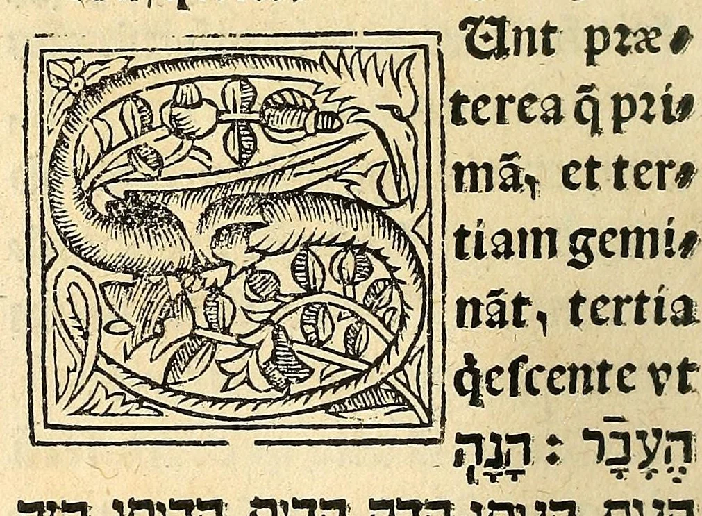 An illustration from Habes hoc in libro ca[n]dide lector Hebraicas institutiones. : in quib[us] quicquid est gra[m]matices hebraicæ facultatis edocetur ad amussim, de literis, punctis, acce[n]tibus, nomine, [et] nominum speciebus, de pronominibus, [et] eoru[mque] cu[m] nominibus, [et] verbis coniu[n]ctione, de verbo [et] verboru[m] co[n]iugationibus, [et] distinctione, in perfecta, quiescentia, defectiua, geminata, de partibus indeclinabilibus, præpositionibus, co[n]iu[n]ctio[n]ibus, aduerbijs, de regulis expone[n]di arcanas literas [et] de figuris, vt paucissima sint desidera[n]da, quas nuper ædidit reuere[n]dus sacræ theolo. do. Sanctes Pagninus .., 1526, leaf 321