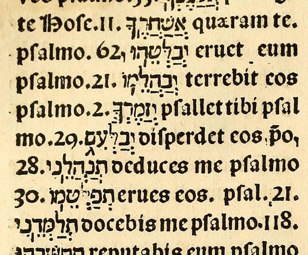 An illustration from Habes hoc in libro ca[n]dide lector Hebraicas institutiones. : in quib[us] quicquid est gra[m]matices hebraicæ facultatis edocetur ad amussim, de literis, punctis, acce[n]tibus, nomine, [et] nominum speciebus, de pronominibus, [et] eoru[mque] cu[m] nominibus, [et] verbis coniu[n]ctione, de verbo [et] verboru[m] co[n]iugationibus, [et] distinctione, in perfecta, quiescentia, defectiua, geminata, de partibus indeclinabilibus, præpositionibus, co[n]iu[n]ctio[n]ibus, aduerbijs, de regulis expone[n]di arcanas literas [et] de figuris, vt paucissima sint desidera[n]da, quas nuper ædidit reuere[n]dus sacræ theolo. do. Sanctes Pagninus .., 1526, leaf 329