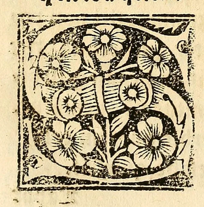 An illustration from Habes hoc in libro ca[n]dide lector Hebraicas institutiones. : in quib[us] quicquid est gra[m]matices hebraicæ facultatis edocetur ad amussim, de literis, punctis, acce[n]tibus, nomine, [et] nominum speciebus, de pronominibus, [et] eoru[mque] cu[m] nominibus, [et] verbis coniu[n]ctione, de verbo [et] verboru[m] co[n]iugationibus, [et] distinctione, in perfecta, quiescentia, defectiua, geminata, de partibus indeclinabilibus, præpositionibus, co[n]iu[n]ctio[n]ibus, aduerbijs, de regulis expone[n]di arcanas literas [et] de figuris, vt paucissima sint desidera[n]da, quas nuper ædidit reuere[n]dus sacræ theolo. do. Sanctes Pagninus .., 1526, leaf 329