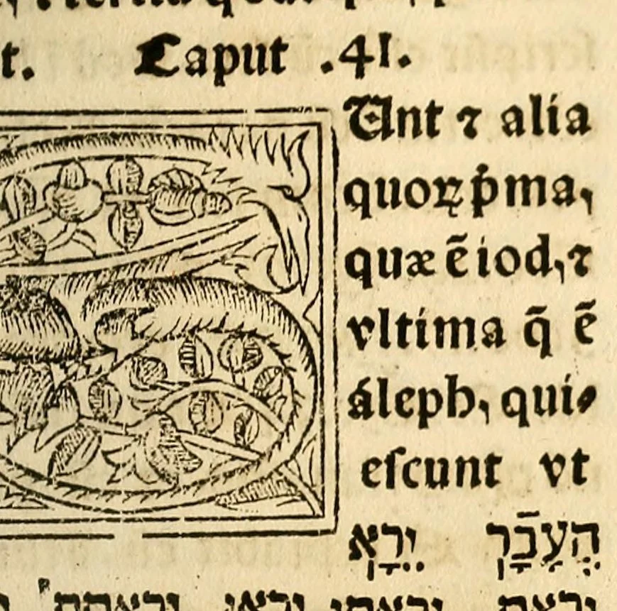 An illustration from Habes hoc in libro ca[n]dide lector Hebraicas institutiones. : in quib[us] quicquid est gra[m]matices hebraicæ facultatis edocetur ad amussim, de literis, punctis, acce[n]tibus, nomine, [et] nominum speciebus, de pronominibus, [et] eoru[mque] cu[m] nominibus, [et] verbis coniu[n]ctione, de verbo [et] verboru[m] co[n]iugationibus, [et] distinctione, in perfecta, quiescentia, defectiua, geminata, de partibus indeclinabilibus, præpositionibus, co[n]iu[n]ctio[n]ibus, aduerbijs, de regulis expone[n]di arcanas literas [et] de figuris, vt paucissima sint desidera[n]da, quas nuper ædidit reuere[n]dus sacræ theolo. do. Sanctes Pagninus .., 1526, leaf 334