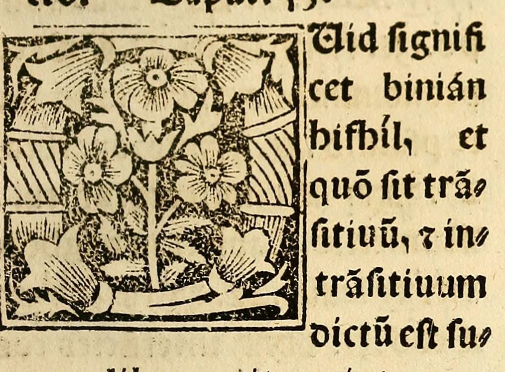 An illustration from Habes hoc in libro ca[n]dide lector Hebraicas institutiones. : in quib[us] quicquid est gra[m]matices hebraicæ facultatis edocetur ad amussim, de literis, punctis, acce[n]tibus, nomine, [et] nominum speciebus, de pronominibus, [et] eoru[mque] cu[m] nominibus, [et] verbis coniu[n]ctione, de verbo [et] verboru[m] co[n]iugationibus, [et] distinctione, in perfecta, quiescentia, defectiua, geminata, de partibus indeclinabilibus, præpositionibus, co[n]iu[n]ctio[n]ibus, aduerbijs, de regulis expone[n]di arcanas literas [et] de figuris, vt paucissima sint desidera[n]da, quas nuper ædidit reuere[n]dus sacræ theolo. do. Sanctes Pagninus .., 1526, leaf 336