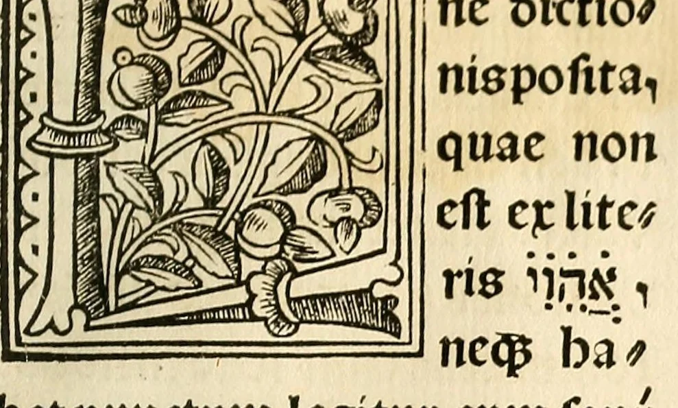 An illustration from Habes hoc in libro ca[n]dide lector Hebraicas institutiones. : in quib[us] quicquid est gra[m]matices hebraicæ facultatis edocetur ad amussim, de literis, punctis, acce[n]tibus, nomine, [et] nominum speciebus, de pronominibus, [et] eoru[mque] cu[m] nominibus, [et] verbis coniu[n]ctione, de verbo [et] verboru[m] co[n]iugationibus, [et] distinctione, in perfecta, quiescentia, defectiua, geminata, de partibus indeclinabilibus, præpositionibus, co[n]iu[n]ctio[n]ibus, aduerbijs, de regulis expone[n]di arcanas literas [et] de figuris, vt paucissima sint desidera[n]da, quas nuper ædidit reuere[n]dus sacræ theolo. do. Sanctes Pagninus .., 1526, leaf 34