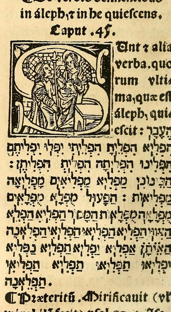 An illustration from Habes hoc in libro ca[n]dide lector Hebraicas institutiones. : in quib[us] quicquid est gra[m]matices hebraicæ facultatis edocetur ad amussim, de literis, punctis, acce[n]tibus, nomine, [et] nominum speciebus, de pronominibus, [et] eoru[mque] cu[m] nominibus, [et] verbis coniu[n]ctione, de verbo [et] verboru[m] co[n]iugationibus, [et] distinctione, in perfecta, quiescentia, defectiua, geminata, de partibus indeclinabilibus, præpositionibus, co[n]iu[n]ctio[n]ibus, aduerbijs, de regulis expone[n]di arcanas literas [et] de figuris, vt paucissima sint desidera[n]da, quas nuper ædidit reuere[n]dus sacræ theolo. do. Sanctes Pagninus .., 1526, leaf 341