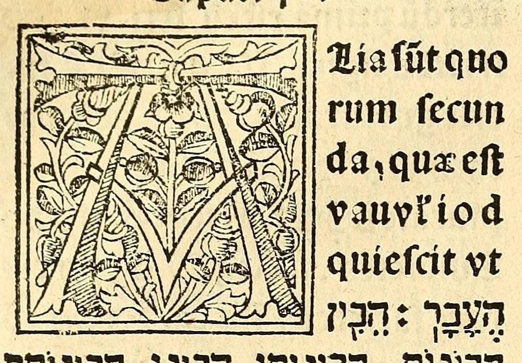 An illustration from Habes hoc in libro ca[n]dide lector Hebraicas institutiones. : in quib[us] quicquid est gra[m]matices hebraicæ facultatis edocetur ad amussim, de literis, punctis, acce[n]tibus, nomine, [et] nominum speciebus, de pronominibus, [et] eoru[mque] cu[m] nominibus, [et] verbis coniu[n]ctione, de verbo [et] verboru[m] co[n]iugationibus, [et] distinctione, in perfecta, quiescentia, defectiua, geminata, de partibus indeclinabilibus, præpositionibus, co[n]iu[n]ctio[n]ibus, aduerbijs, de regulis expone[n]di arcanas literas [et] de figuris, vt paucissima sint desidera[n]da, quas nuper ædidit reuere[n]dus sacræ theolo. do. Sanctes Pagninus .., 1526, leaf 345