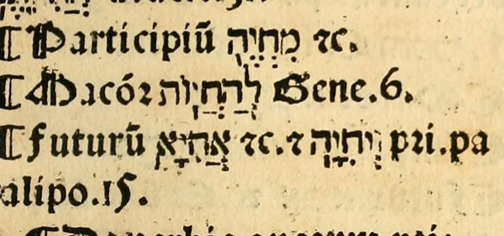 An illustration from Habes hoc in libro ca[n]dide lector Hebraicas institutiones. : in quib[us] quicquid est gra[m]matices hebraicæ facultatis edocetur ad amussim, de literis, punctis, acce[n]tibus, nomine, [et] nominum speciebus, de pronominibus, [et] eoru[mque] cu[m] nominibus, [et] verbis coniu[n]ctione, de verbo [et] verboru[m] co[n]iugationibus, [et] distinctione, in perfecta, quiescentia, defectiua, geminata, de partibus indeclinabilibus, præpositionibus, co[n]iu[n]ctio[n]ibus, aduerbijs, de regulis expone[n]di arcanas literas [et] de figuris, vt paucissima sint desidera[n]da, quas nuper ædidit reuere[n]dus sacræ theolo. do. Sanctes Pagninus .., 1526, leaf 354
