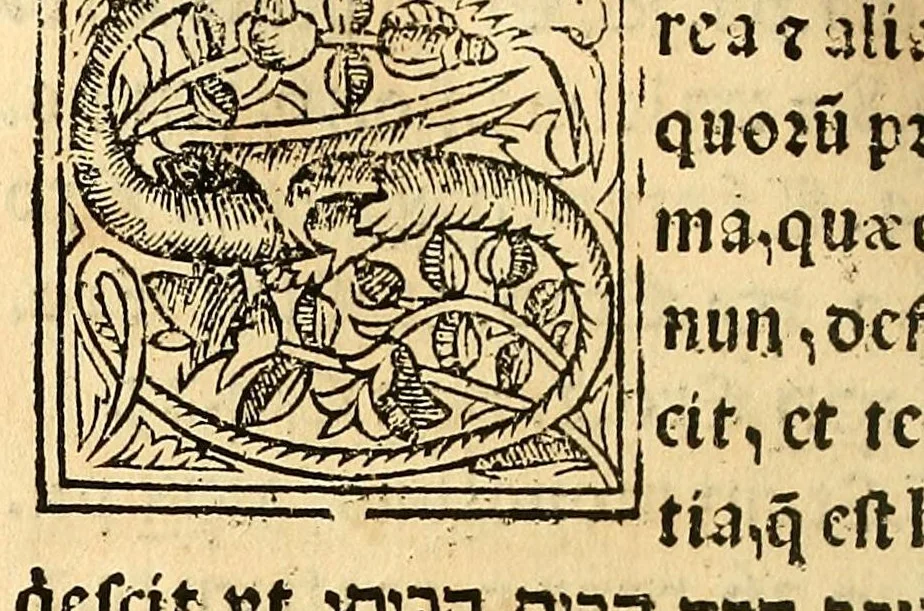 An illustration from Habes hoc in libro ca[n]dide lector Hebraicas institutiones. : in quib[us] quicquid est gra[m]matices hebraicæ facultatis edocetur ad amussim, de literis, punctis, acce[n]tibus, nomine, [et] nominum speciebus, de pronominibus, [et] eoru[mque] cu[m] nominibus, [et] verbis coniu[n]ctione, de verbo [et] verboru[m] co[n]iugationibus, [et] distinctione, in perfecta, quiescentia, defectiua, geminata, de partibus indeclinabilibus, præpositionibus, co[n]iu[n]ctio[n]ibus, aduerbijs, de regulis expone[n]di arcanas literas [et] de figuris, vt paucissima sint desidera[n]da, quas nuper ædidit reuere[n]dus sacræ theolo. do. Sanctes Pagninus .., 1526, leaf 355