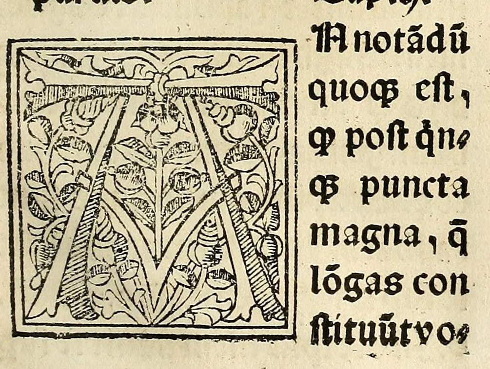 An illustration from Habes hoc in libro ca[n]dide lector Hebraicas institutiones. : in quib[us] quicquid est gra[m]matices hebraicæ facultatis edocetur ad amussim, de literis, punctis, acce[n]tibus, nomine, [et] nominum speciebus, de pronominibus, [et] eoru[mque] cu[m] nominibus, [et] verbis coniu[n]ctione, de verbo [et] verboru[m] co[n]iugationibus, [et] distinctione, in perfecta, quiescentia, defectiua, geminata, de partibus indeclinabilibus, præpositionibus, co[n]iu[n]ctio[n]ibus, aduerbijs, de regulis expone[n]di arcanas literas [et] de figuris, vt paucissima sint desidera[n]da, quas nuper ædidit reuere[n]dus sacræ theolo. do. Sanctes Pagninus .., 1526, leaf 36