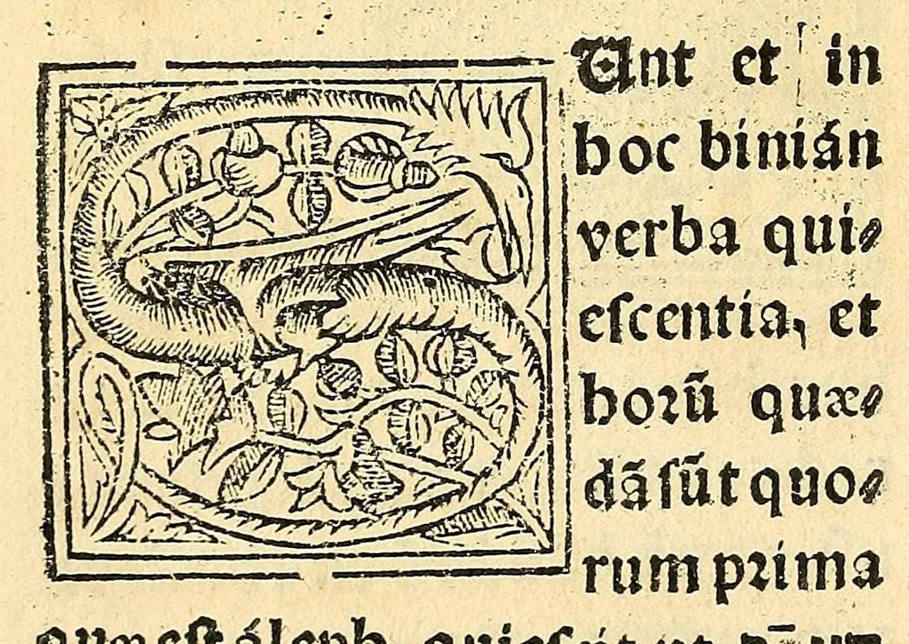 An illustration from Habes hoc in libro ca[n]dide lector Hebraicas institutiones. : in quib[us] quicquid est gra[m]matices hebraicæ facultatis edocetur ad amussim, de literis, punctis, acce[n]tibus, nomine, [et] nominum speciebus, de pronominibus, [et] eoru[mque] cu[m] nominibus, [et] verbis coniu[n]ctione, de verbo [et] verboru[m] co[n]iugationibus, [et] distinctione, in perfecta, quiescentia, defectiua, geminata, de partibus indeclinabilibus, præpositionibus, co[n]iu[n]ctio[n]ibus, aduerbijs, de regulis expone[n]di arcanas literas [et] de figuris, vt paucissima sint desidera[n]da, quas nuper ædidit reuere[n]dus sacræ theolo. do. Sanctes Pagninus .., 1526, leaf 365