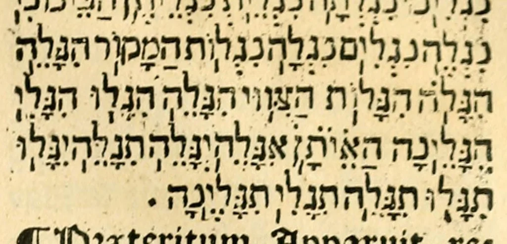 An illustration from Habes hoc in libro ca[n]dide lector Hebraicas institutiones. : in quib[us] quicquid est gra[m]matices hebraicæ facultatis edocetur ad amussim, de literis, punctis, acce[n]tibus, nomine, [et] nominum speciebus, de pronominibus, [et] eoru[mque] cu[m] nominibus, [et] verbis coniu[n]ctione, de verbo [et] verboru[m] co[n]iugationibus, [et] distinctione, in perfecta, quiescentia, defectiua, geminata, de partibus indeclinabilibus, præpositionibus, co[n]iu[n]ctio[n]ibus, aduerbijs, de regulis expone[n]di arcanas literas [et] de figuris, vt paucissima sint desidera[n]da, quas nuper ædidit reuere[n]dus sacræ theolo. do. Sanctes Pagninus .., 1526, leaf 368