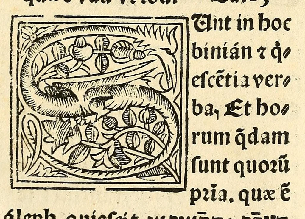 An illustration from Habes hoc in libro ca[n]dide lector Hebraicas institutiones. : in quib[us] quicquid est gra[m]matices hebraicæ facultatis edocetur ad amussim, de literis, punctis, acce[n]tibus, nomine, [et] nominum speciebus, de pronominibus, [et] eoru[mque] cu[m] nominibus, [et] verbis coniu[n]ctione, de verbo [et] verboru[m] co[n]iugationibus, [et] distinctione, in perfecta, quiescentia, defectiua, geminata, de partibus indeclinabilibus, præpositionibus, co[n]iu[n]ctio[n]ibus, aduerbijs, de regulis expone[n]di arcanas literas [et] de figuris, vt paucissima sint desidera[n]da, quas nuper ædidit reuere[n]dus sacræ theolo. do. Sanctes Pagninus .., 1526, leaf 379