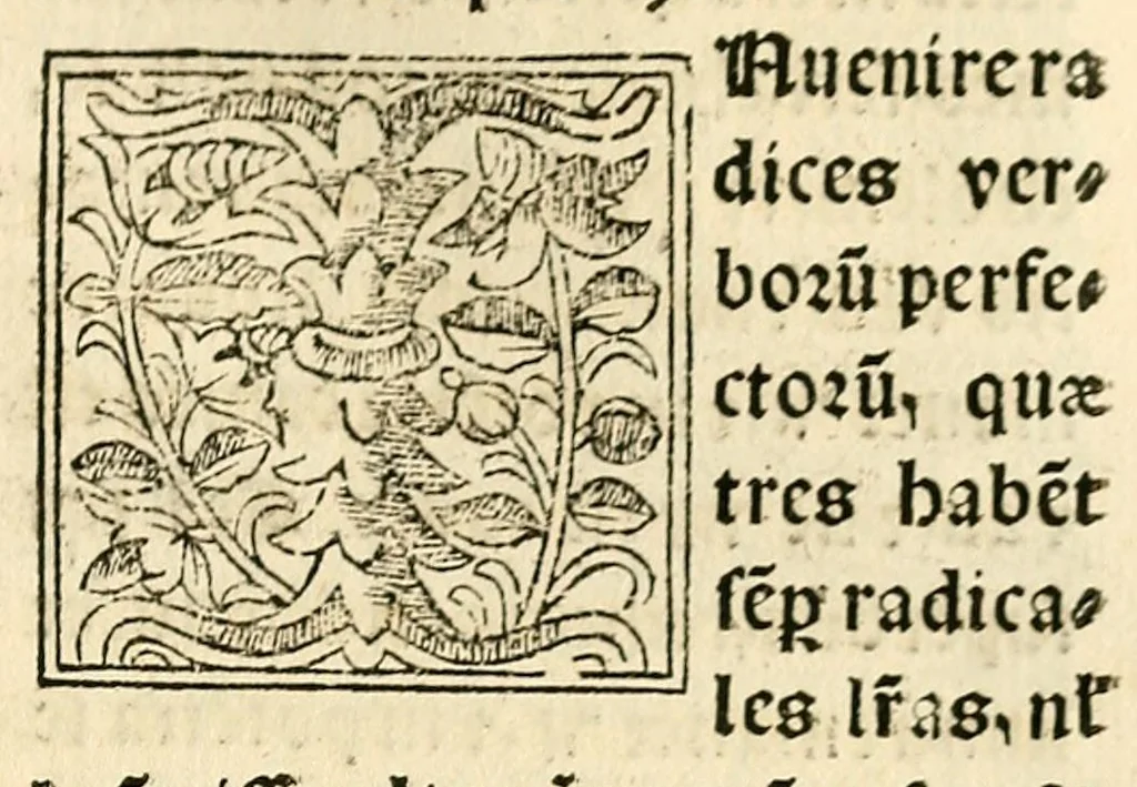 An illustration from Habes hoc in libro ca[n]dide lector Hebraicas institutiones. : in quib[us] quicquid est gra[m]matices hebraicæ facultatis edocetur ad amussim, de literis, punctis, acce[n]tibus, nomine, [et] nominum speciebus, de pronominibus, [et] eoru[mque] cu[m] nominibus, [et] verbis coniu[n]ctione, de verbo [et] verboru[m] co[n]iugationibus, [et] distinctione, in perfecta, quiescentia, defectiua, geminata, de partibus indeclinabilibus, præpositionibus, co[n]iu[n]ctio[n]ibus, aduerbijs, de regulis expone[n]di arcanas literas [et] de figuris, vt paucissima sint desidera[n]da, quas nuper ædidit reuere[n]dus sacræ theolo. do. Sanctes Pagninus .., 1526, leaf 408