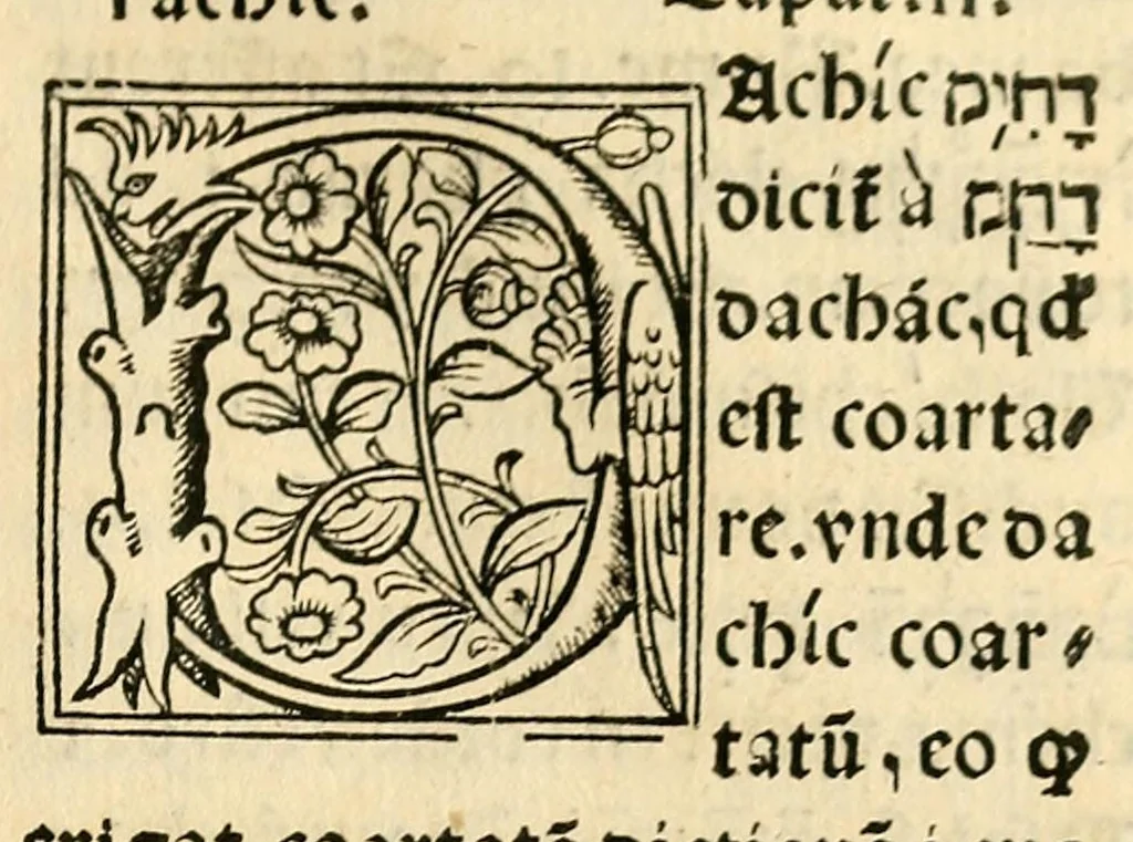An illustration from Habes hoc in libro ca[n]dide lector Hebraicas institutiones. : in quib[us] quicquid est gra[m]matices hebraicæ facultatis edocetur ad amussim, de literis, punctis, acce[n]tibus, nomine, [et] nominum speciebus, de pronominibus, [et] eoru[mque] cu[m] nominibus, [et] verbis coniu[n]ctione, de verbo [et] verboru[m] co[n]iugationibus, [et] distinctione, in perfecta, quiescentia, defectiua, geminata, de partibus indeclinabilibus, præpositionibus, co[n]iu[n]ctio[n]ibus, aduerbijs, de regulis expone[n]di arcanas literas [et] de figuris, vt paucissima sint desidera[n]da, quas nuper ædidit reuere[n]dus sacræ theolo. do. Sanctes Pagninus .., 1526, leaf 42