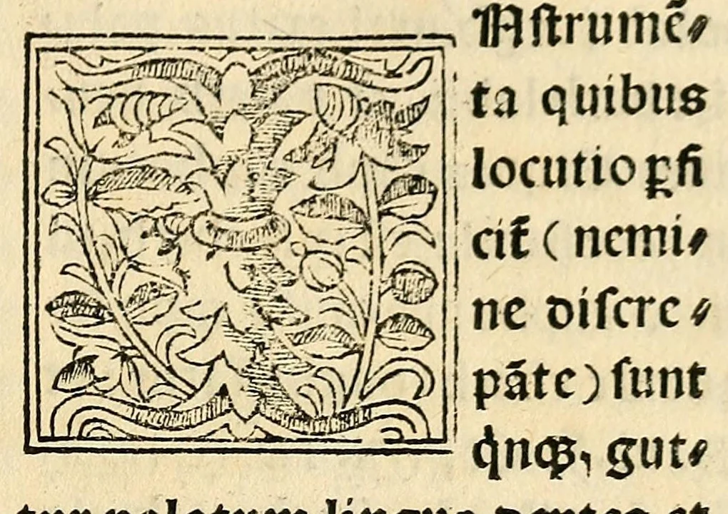 An illustration from Habes hoc in libro ca[n]dide lector Hebraicas institutiones. : in quib[us] quicquid est gra[m]matices hebraicæ facultatis edocetur ad amussim, de literis, punctis, acce[n]tibus, nomine, [et] nominum speciebus, de pronominibus, [et] eoru[mque] cu[m] nominibus, [et] verbis coniu[n]ctione, de verbo [et] verboru[m] co[n]iugationibus, [et] distinctione, in perfecta, quiescentia, defectiua, geminata, de partibus indeclinabilibus, præpositionibus, co[n]iu[n]ctio[n]ibus, aduerbijs, de regulis expone[n]di arcanas literas [et] de figuris, vt paucissima sint desidera[n]da, quas nuper ædidit reuere[n]dus sacræ theolo. do. Sanctes Pagninus .., 1526, leaf 46