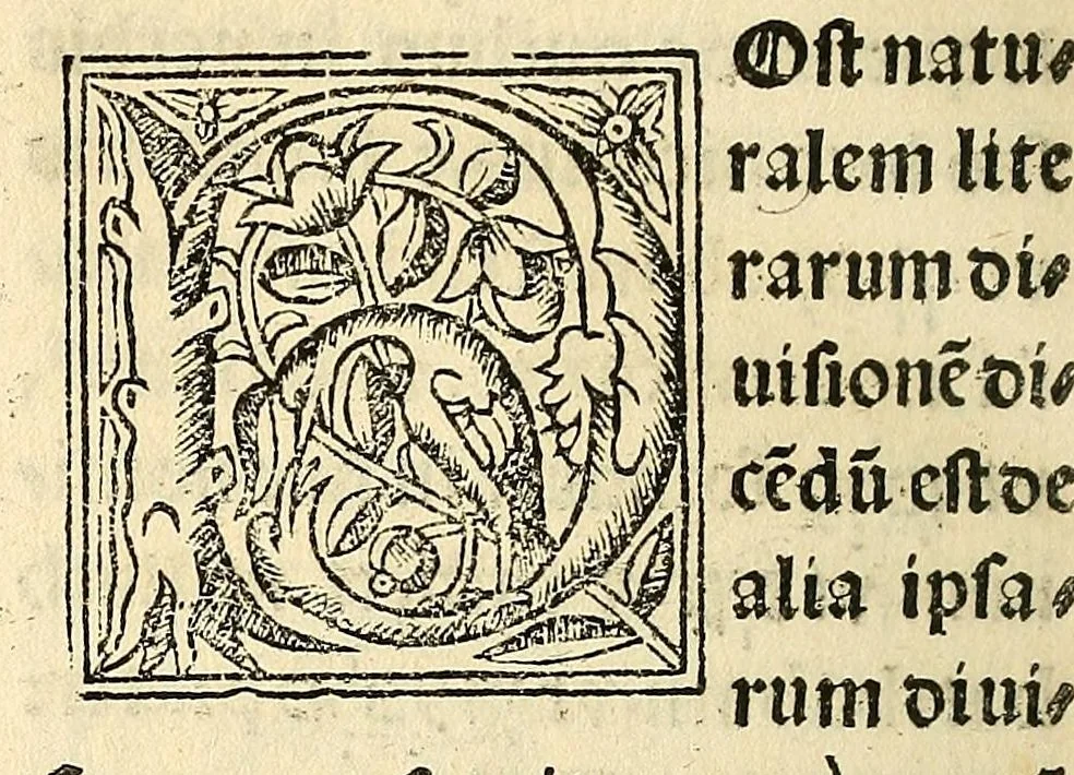An illustration from Habes hoc in libro ca[n]dide lector Hebraicas institutiones. : in quib[us] quicquid est gra[m]matices hebraicæ facultatis edocetur ad amussim, de literis, punctis, acce[n]tibus, nomine, [et] nominum speciebus, de pronominibus, [et] eoru[mque] cu[m] nominibus, [et] verbis coniu[n]ctione, de verbo [et] verboru[m] co[n]iugationibus, [et] distinctione, in perfecta, quiescentia, defectiua, geminata, de partibus indeclinabilibus, præpositionibus, co[n]iu[n]ctio[n]ibus, aduerbijs, de regulis expone[n]di arcanas literas [et] de figuris, vt paucissima sint desidera[n]da, quas nuper ædidit reuere[n]dus sacræ theolo. do. Sanctes Pagninus .., 1526, leaf 53