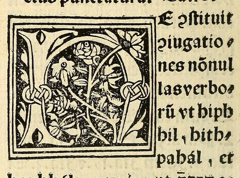 An illustration from Habes hoc in libro ca[n]dide lector Hebraicas institutiones. : in quib[us] quicquid est gra[m]matices hebraicæ facultatis edocetur ad amussim, de literis, punctis, acce[n]tibus, nomine, [et] nominum speciebus, de pronominibus, [et] eoru[mque] cu[m] nominibus, [et] verbis coniu[n]ctione, de verbo [et] verboru[m] co[n]iugationibus, [et] distinctione, in perfecta, quiescentia, defectiua, geminata, de partibus indeclinabilibus, præpositionibus, co[n]iu[n]ctio[n]ibus, aduerbijs, de regulis expone[n]di arcanas literas [et] de figuris, vt paucissima sint desidera[n]da, quas nuper ædidit reuere[n]dus sacræ theolo. do. Sanctes Pagninus .., 1526, leaf 55