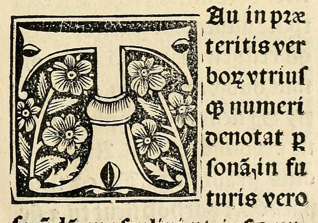 An illustration from Habes hoc in libro ca[n]dide lector Hebraicas institutiones. : in quib[us] quicquid est gra[m]matices hebraicæ facultatis edocetur ad amussim, de literis, punctis, acce[n]tibus, nomine, [et] nominum speciebus, de pronominibus, [et] eoru[mque] cu[m] nominibus, [et] verbis coniu[n]ctione, de verbo [et] verboru[m] co[n]iugationibus, [et] distinctione, in perfecta, quiescentia, defectiua, geminata, de partibus indeclinabilibus, præpositionibus, co[n]iu[n]ctio[n]ibus, aduerbijs, de regulis expone[n]di arcanas literas [et] de figuris, vt paucissima sint desidera[n]da, quas nuper ædidit reuere[n]dus sacræ theolo. do. Sanctes Pagninus .., 1526, leaf 60