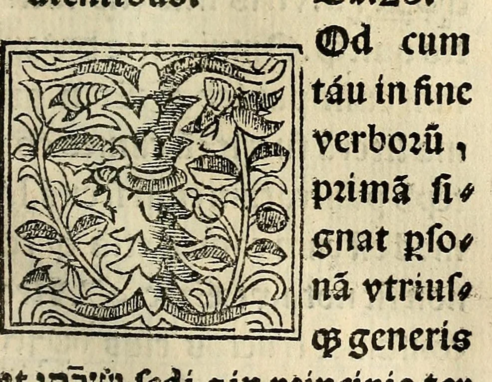 An illustration from Habes hoc in libro ca[n]dide lector Hebraicas institutiones. : in quib[us] quicquid est gra[m]matices hebraicæ facultatis edocetur ad amussim, de literis, punctis, acce[n]tibus, nomine, [et] nominum speciebus, de pronominibus, [et] eoru[mque] cu[m] nominibus, [et] verbis coniu[n]ctione, de verbo [et] verboru[m] co[n]iugationibus, [et] distinctione, in perfecta, quiescentia, defectiua, geminata, de partibus indeclinabilibus, præpositionibus, co[n]iu[n]ctio[n]ibus, aduerbijs, de regulis expone[n]di arcanas literas [et] de figuris, vt paucissima sint desidera[n]da, quas nuper ædidit reuere[n]dus sacræ theolo. do. Sanctes Pagninus .., 1526, leaf 66