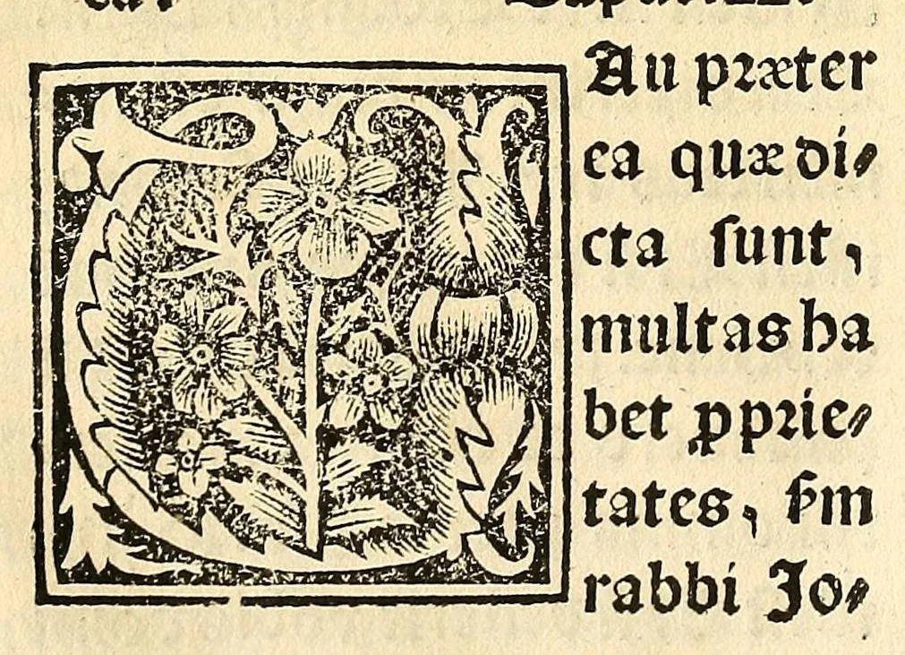 An illustration from Habes hoc in libro ca[n]dide lector Hebraicas institutiones. : in quib[us] quicquid est gra[m]matices hebraicæ facultatis edocetur ad amussim, de literis, punctis, acce[n]tibus, nomine, [et] nominum speciebus, de pronominibus, [et] eoru[mque] cu[m] nominibus, [et] verbis coniu[n]ctione, de verbo [et] verboru[m] co[n]iugationibus, [et] distinctione, in perfecta, quiescentia, defectiua, geminata, de partibus indeclinabilibus, præpositionibus, co[n]iu[n]ctio[n]ibus, aduerbijs, de regulis expone[n]di arcanas literas [et] de figuris, vt paucissima sint desidera[n]da, quas nuper ædidit reuere[n]dus sacræ theolo. do. Sanctes Pagninus .., 1526, leaf 71