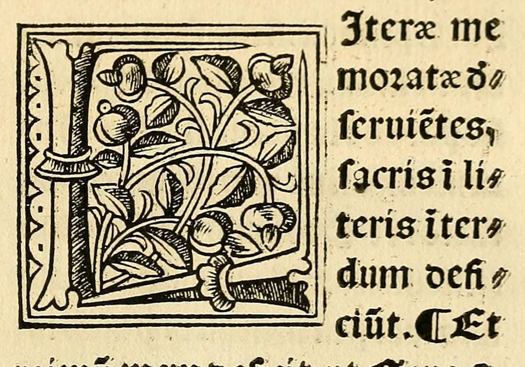 An illustration from Habes hoc in libro ca[n]dide lector Hebraicas institutiones. : in quib[us] quicquid est gra[m]matices hebraicæ facultatis edocetur ad amussim, de literis, punctis, acce[n]tibus, nomine, [et] nominum speciebus, de pronominibus, [et] eoru[mque] cu[m] nominibus, [et] verbis coniu[n]ctione, de verbo [et] verboru[m] co[n]iugationibus, [et] distinctione, in perfecta, quiescentia, defectiua, geminata, de partibus indeclinabilibus, præpositionibus, co[n]iu[n]ctio[n]ibus, aduerbijs, de regulis expone[n]di arcanas literas [et] de figuris, vt paucissima sint desidera[n]da, quas nuper ædidit reuere[n]dus sacræ theolo. do. Sanctes Pagninus .., 1526, leaf 76