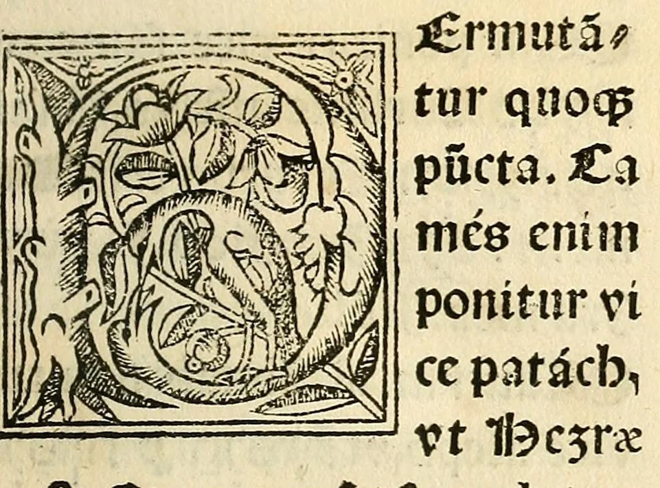 An illustration from Habes hoc in libro ca[n]dide lector Hebraicas institutiones. : in quib[us] quicquid est gra[m]matices hebraicæ facultatis edocetur ad amussim, de literis, punctis, acce[n]tibus, nomine, [et] nominum speciebus, de pronominibus, [et] eoru[mque] cu[m] nominibus, [et] verbis coniu[n]ctione, de verbo [et] verboru[m] co[n]iugationibus, [et] distinctione, in perfecta, quiescentia, defectiua, geminata, de partibus indeclinabilibus, præpositionibus, co[n]iu[n]ctio[n]ibus, aduerbijs, de regulis expone[n]di arcanas literas [et] de figuris, vt paucissima sint desidera[n]da, quas nuper ædidit reuere[n]dus sacræ theolo. do. Sanctes Pagninus .., 1526, leaf 82