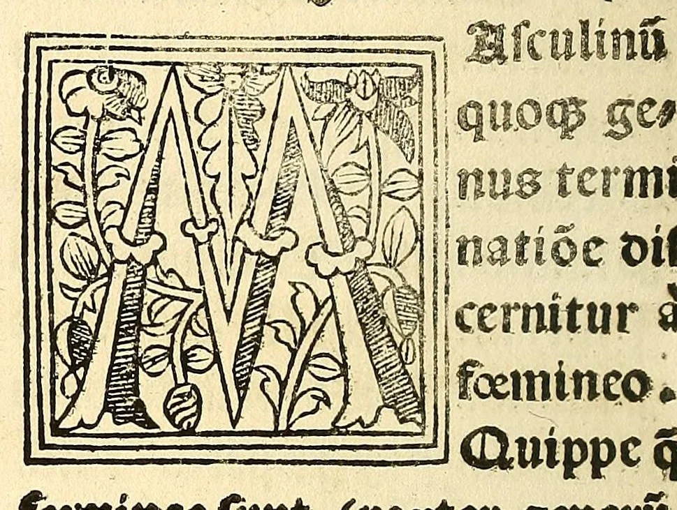 An illustration from Habes hoc in libro ca[n]dide lector Hebraicas institutiones. : in quib[us] quicquid est gra[m]matices hebraicæ facultatis edocetur ad amussim, de literis, punctis, acce[n]tibus, nomine, [et] nominum speciebus, de pronominibus, [et] eoru[mque] cu[m] nominibus, [et] verbis coniu[n]ctione, de verbo [et] verboru[m] co[n]iugationibus, [et] distinctione, in perfecta, quiescentia, defectiua, geminata, de partibus indeclinabilibus, præpositionibus, co[n]iu[n]ctio[n]ibus, aduerbijs, de regulis expone[n]di arcanas literas [et] de figuris, vt paucissima sint desidera[n]da, quas nuper ædidit reuere[n]dus sacræ theolo. do. Sanctes Pagninus .., 1526, leaf 93