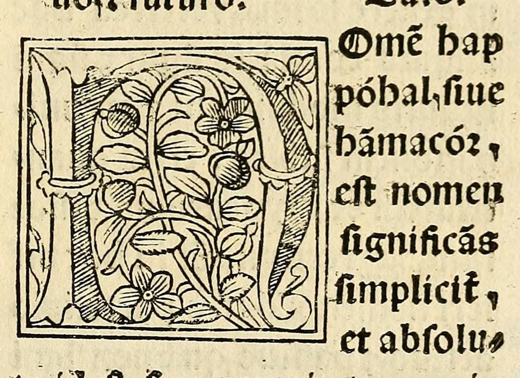 An illustration from Habes hoc in libro ca[n]dide lector Hebraicas institutiones. : in quib[us] quicquid est gra[m]matices hebraicæ facultatis edocetur ad amussim, de literis, punctis, acce[n]tibus, nomine, [et] nominum speciebus, de pronominibus, [et] eoru[mque] cu[m] nominibus, [et] verbis coniu[n]ctione, de verbo [et] verboru[m] co[n]iugationibus, [et] distinctione, in perfecta, quiescentia, defectiua, geminata, de partibus indeclinabilibus, præpositionibus, co[n]iu[n]ctio[n]ibus, aduerbijs, de regulis expone[n]di arcanas literas [et] de figuris, vt paucissima sint desidera[n]da, quas nuper ædidit reuere[n]dus sacræ theolo. do. Sanctes Pagninus .., 1526, leaf 98