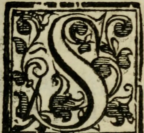 An illustration from Habiti antichi;, 1664, leaf 14
