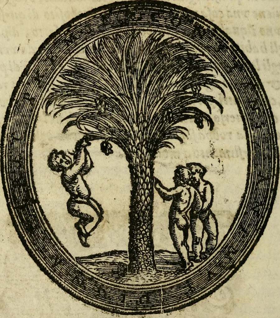 An illustration from Habiti antichi;, 1664, leaf 23