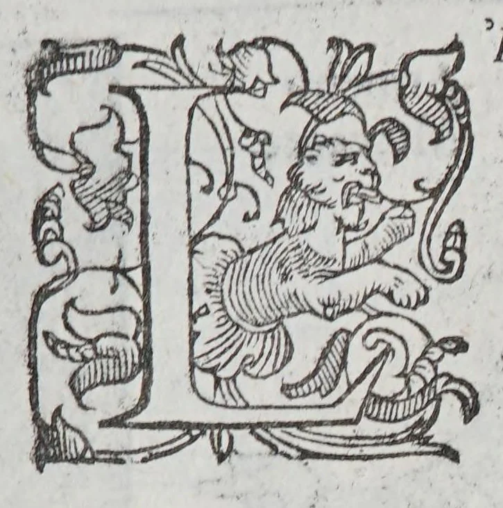An illustration from Habiti antichi, et moderni di tutto il mondo., 1598, leaf 1011