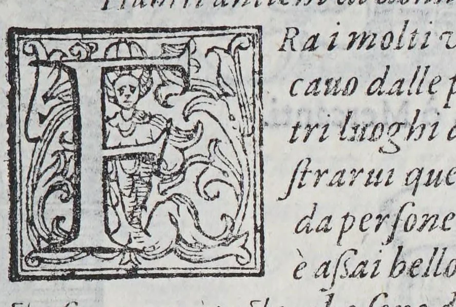 An illustration from Habiti antichi, et moderni di tutto il mondo., 1598, leaf 243