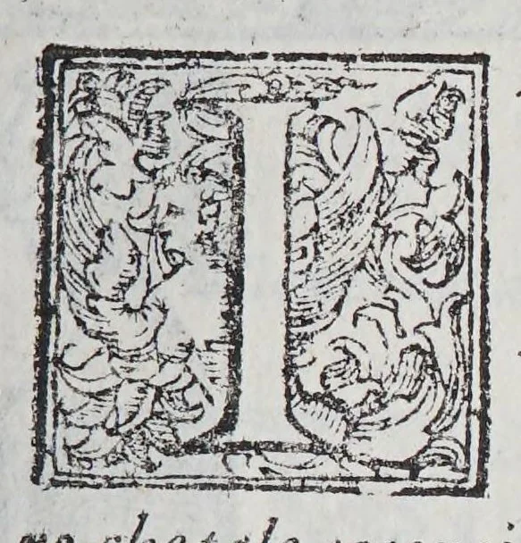 An illustration from Habiti antichi, et moderni di tutto il mondo., 1598, leaf 271