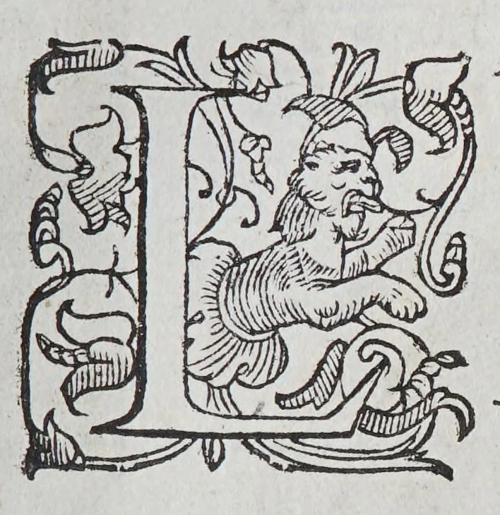 An illustration from Habiti antichi, et moderni di tutto il mondo., 1598, leaf 323