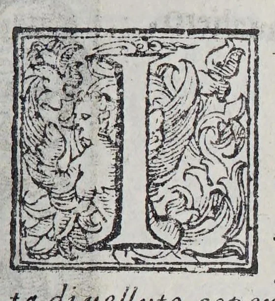 An illustration from Habiti antichi, et moderni di tutto il mondo., 1598, leaf 375