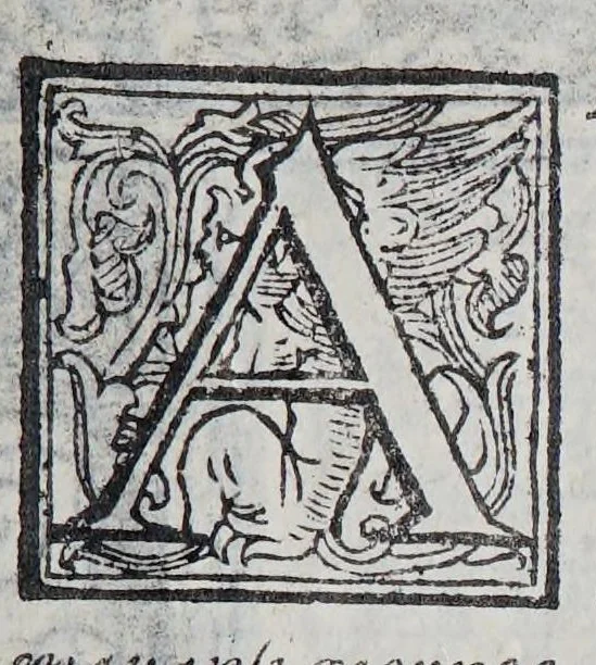An illustration from Habiti antichi, et moderni di tutto il mondo., 1598, leaf 427
