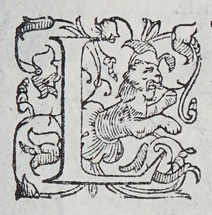 An illustration from Habiti antichi, et moderni di tutto il mondo., 1598, leaf 441