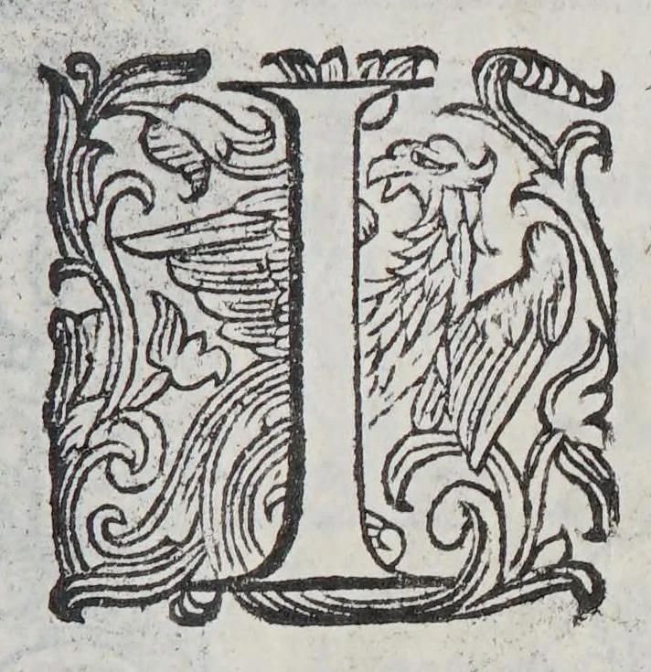 An illustration from Habiti antichi, et moderni di tutto il mondo., 1598, leaf 823