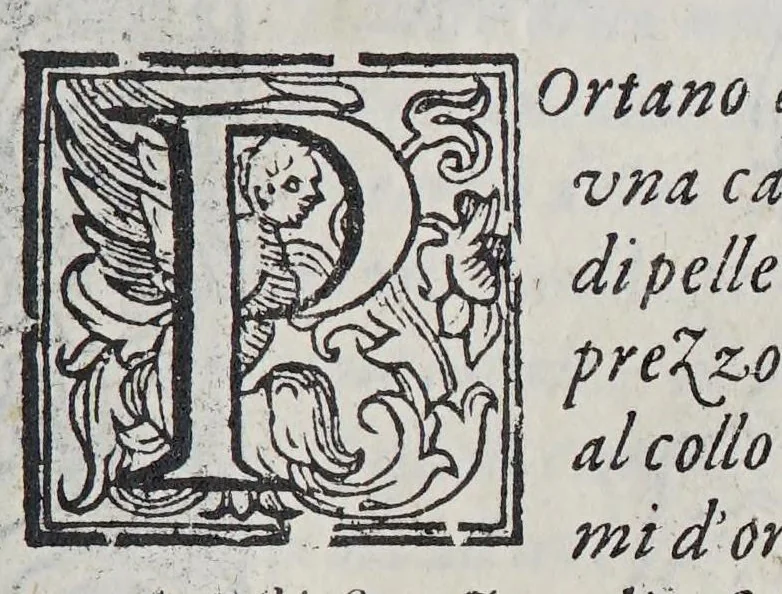 An illustration from Habiti antichi, et moderni di tutto il mondo., 1598, leaf 951