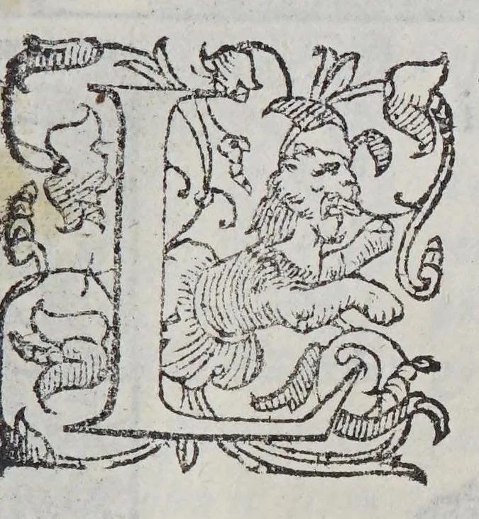 An illustration from Habiti antichi, et moderni di tutto il mondo., 1598, leaf 965