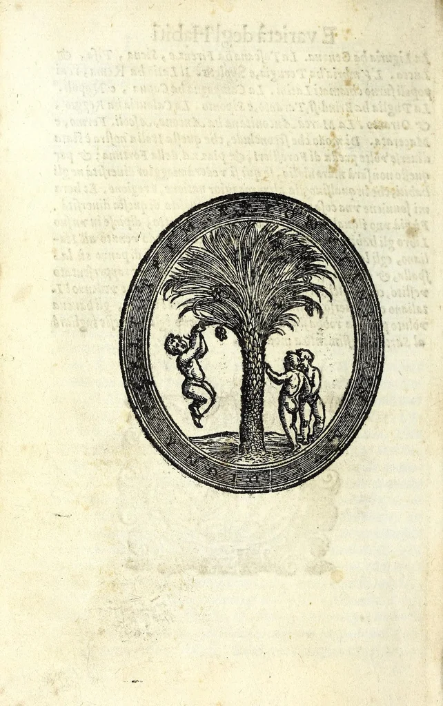 An illustration from Habiti antichi, ouero, Raccolta di figvre delineate dal gran Titiano, e da Cesare Vecellio suo fratello, diligentemente intagliate, conforme alle nationi del mondo : libro vtilissimo a pittori, dissegnatori, scultori, architetti & ad ogni curioso, e peregrino ingegno, 1664, leaf 20