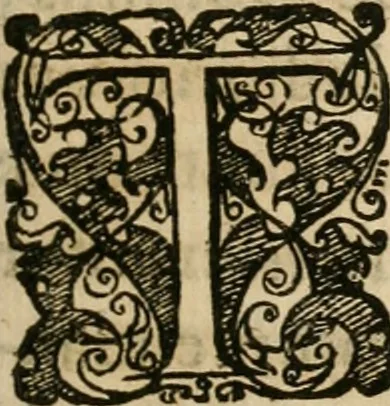 An illustration from Hadriani à Mynsicht aliàs Tribudenii ... Thesaurus et armamentarium medico-chymicum : hoc est, selectissimorum, contra quosvis morbos, pharmacorum conficiendorum secretissima ratio ... : cui in fine adjunctum est Testamentum Hadrianeum de aureo philosophorum lapide ..., 1638, leaf 10