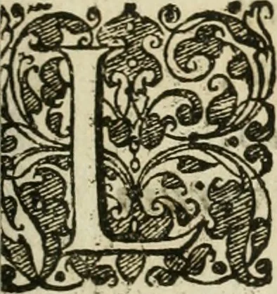 An illustration from Hadriani à Mynsicht aliàs Tribudenii ... Thesaurus et armamentarium medico-chymicum : hoc est, selectissimorum, contra quosvis morbos, pharmacorum conficiendorum secretissima ratio ... : cui in fine adjunctum est Testamentum Hadrianeum de aureo philosophorum lapide ..., 1638, leaf 44
