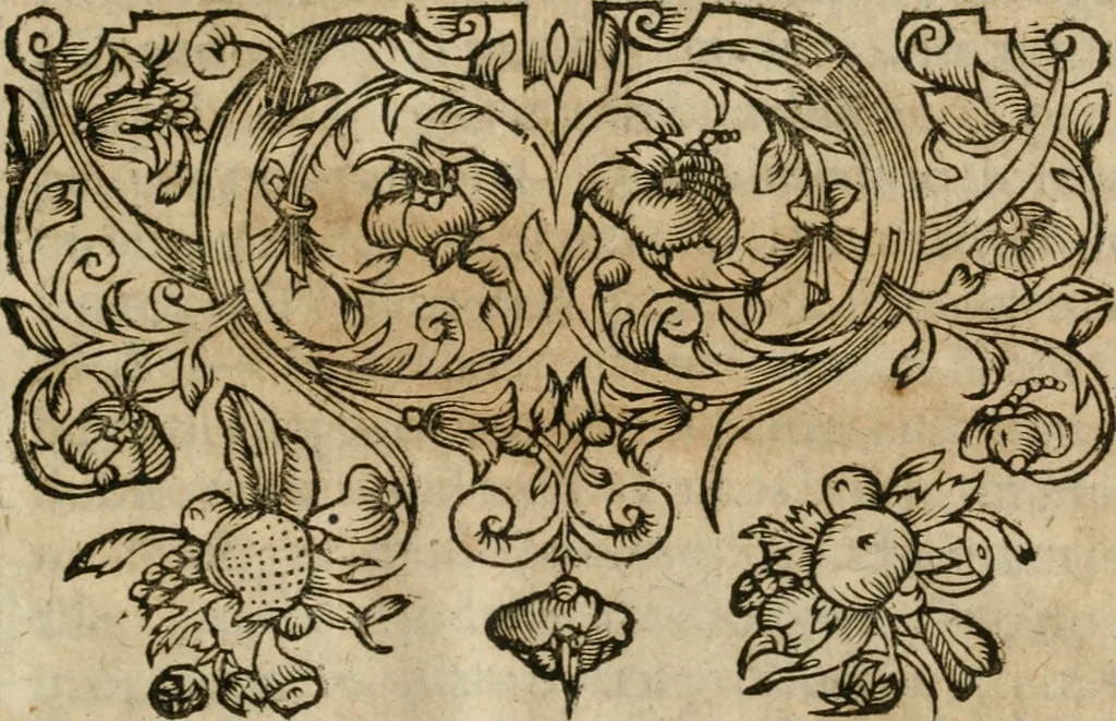 An illustration from Hadriani à Mynsicht aliàs Tribudenii ... Thesaurus et armamentarium medico-chymicum : hoc est, selectissimorum, contra quosvis morbos, pharmacorum conficiendorum secretissima ratio ... : cui in fine adjunctum est Testamentum Hadrianeum de aureo philosophorum lapide ..., 1638, leaf 624