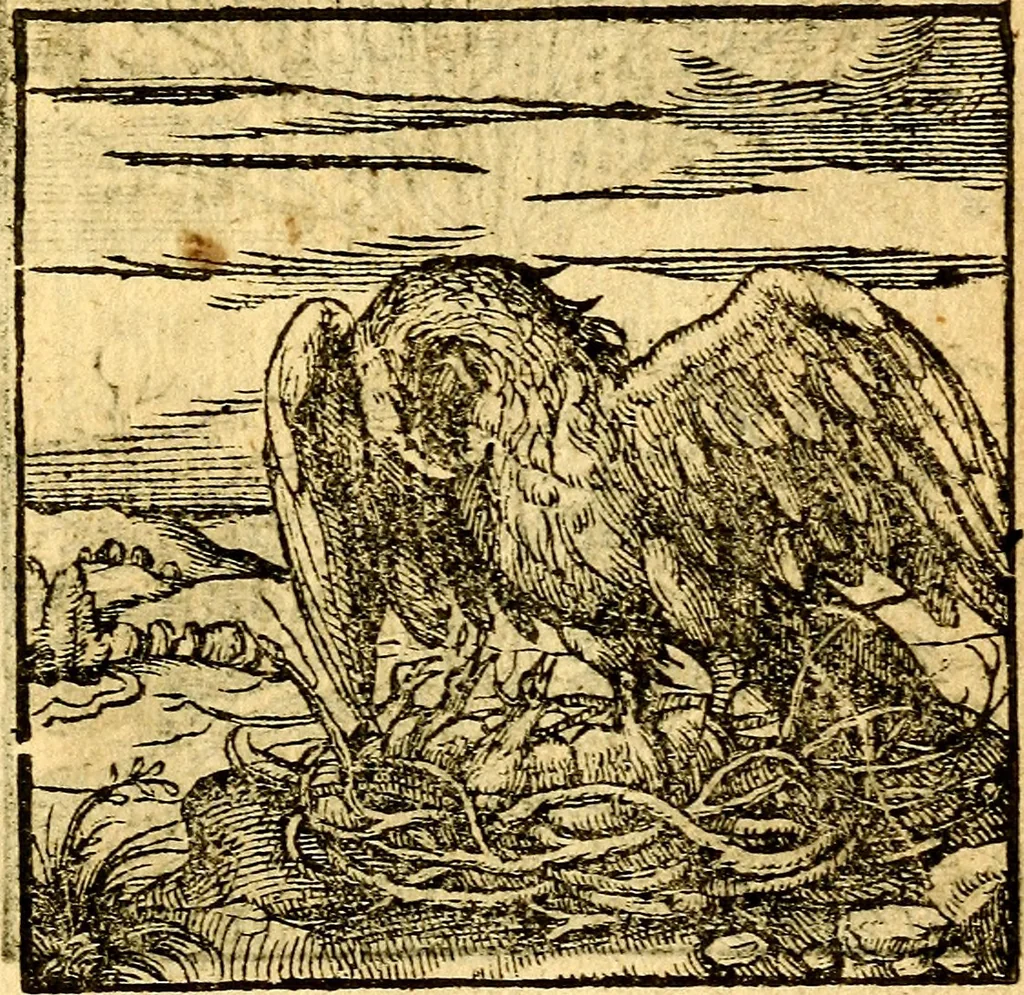 An illustration from Hadriani Iunii Emblemata : eiusdem Aenigmatum libellus, 1596, leaf 16