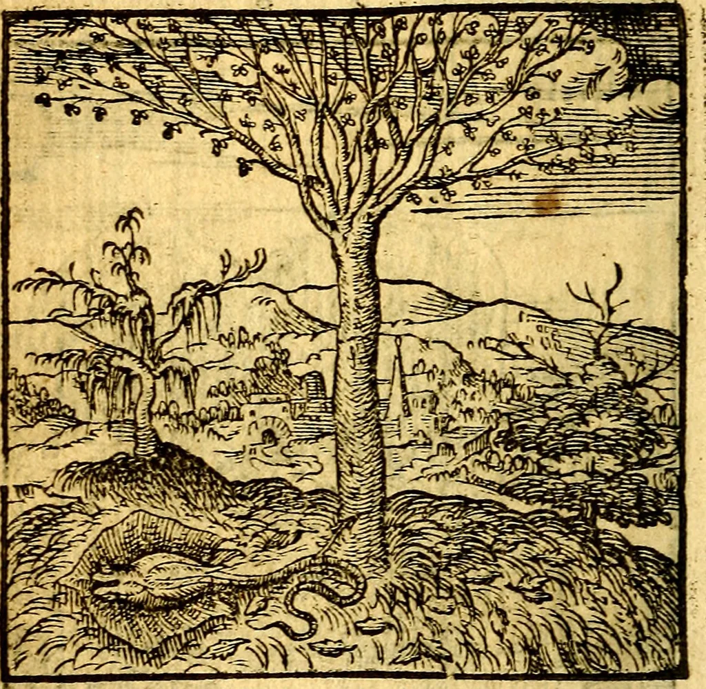 An illustration from Hadriani Iunii Emblemata : eiusdem Aenigmatum libellus, 1596, leaf 17