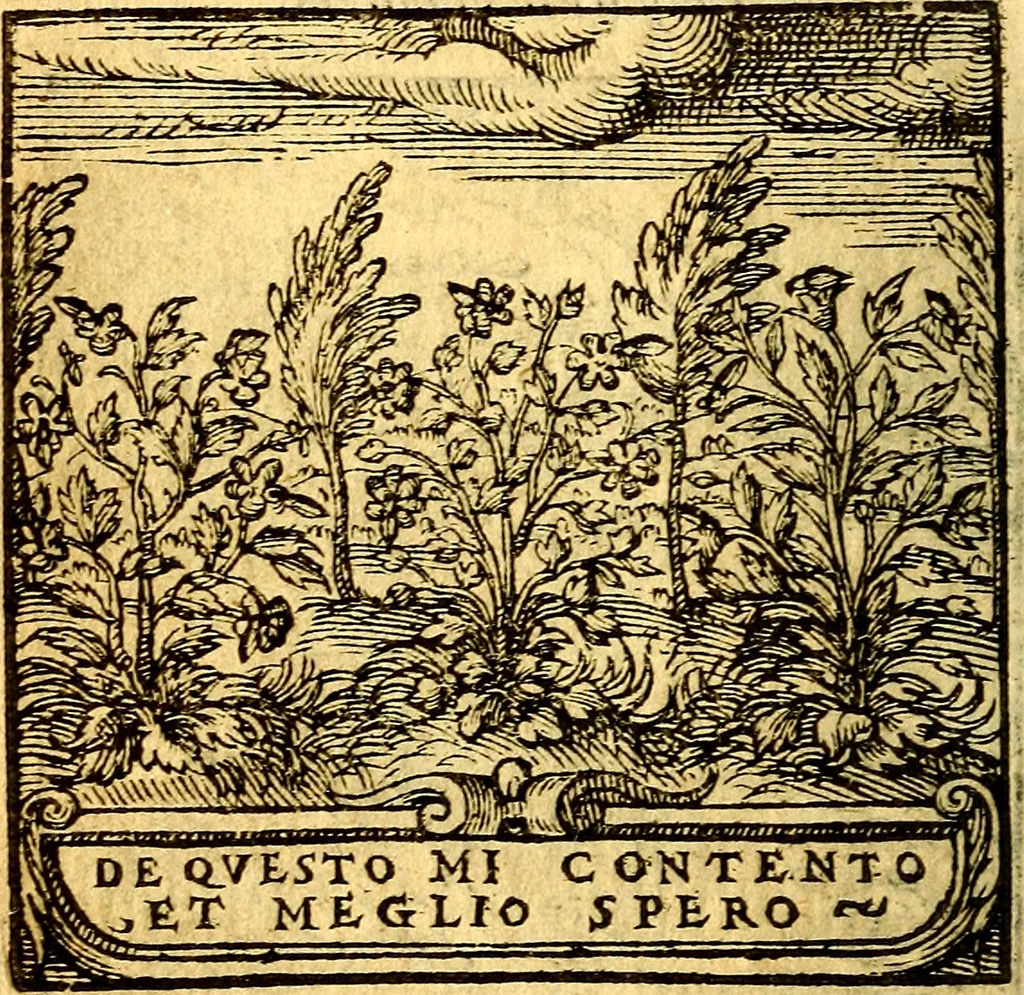 An illustration from Hadriani Iunii Emblemata : eiusdem Aenigmatum libellus, 1596, leaf 29