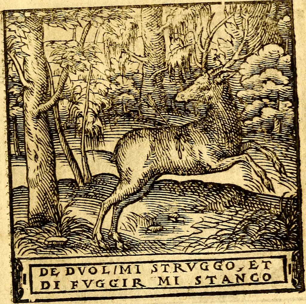An illustration from Hadriani Iunii Emblemata : eiusdem Aenigmatum libellus, 1596, leaf 56